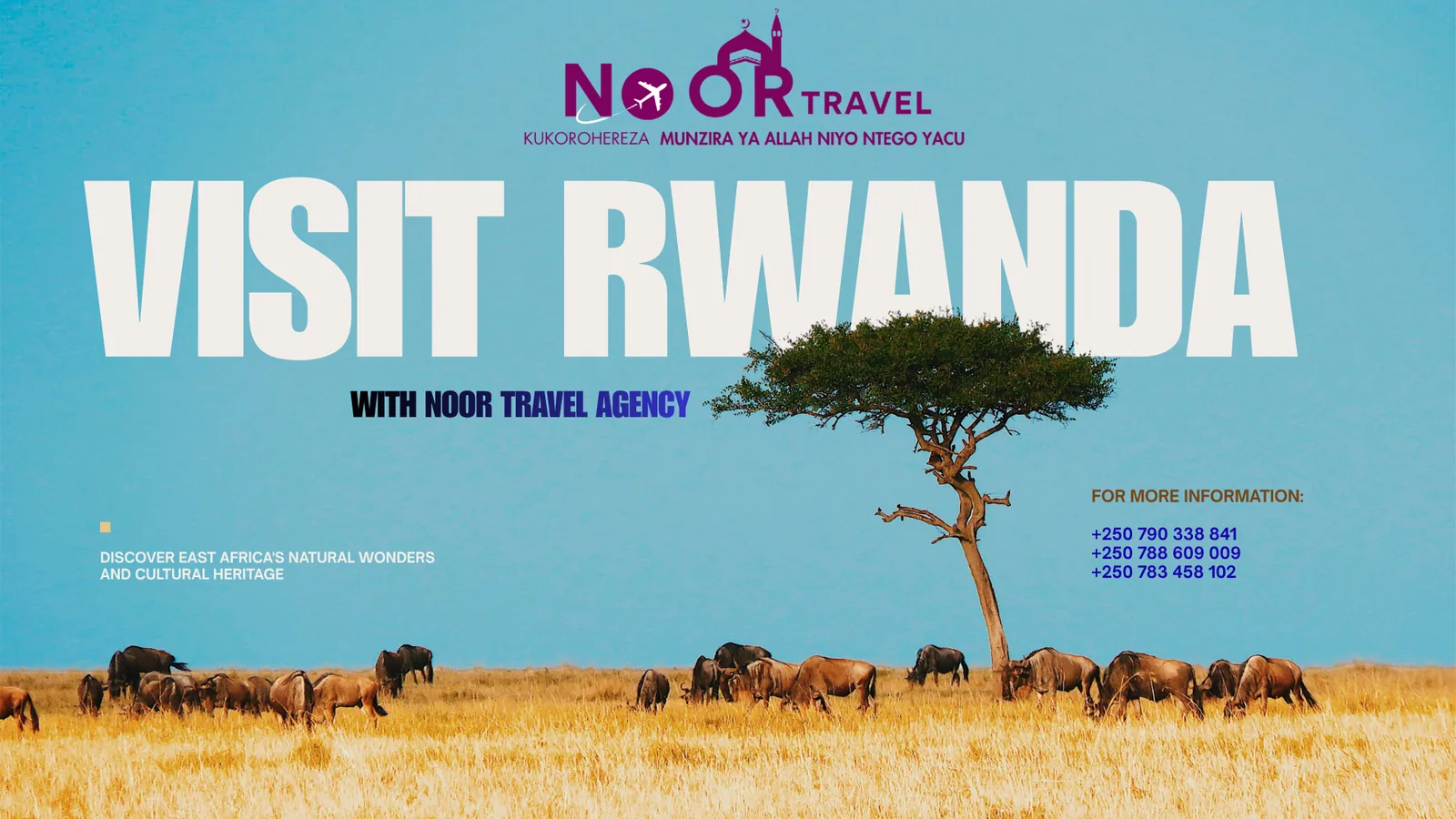 Visit Rwanda with NOOR Travel